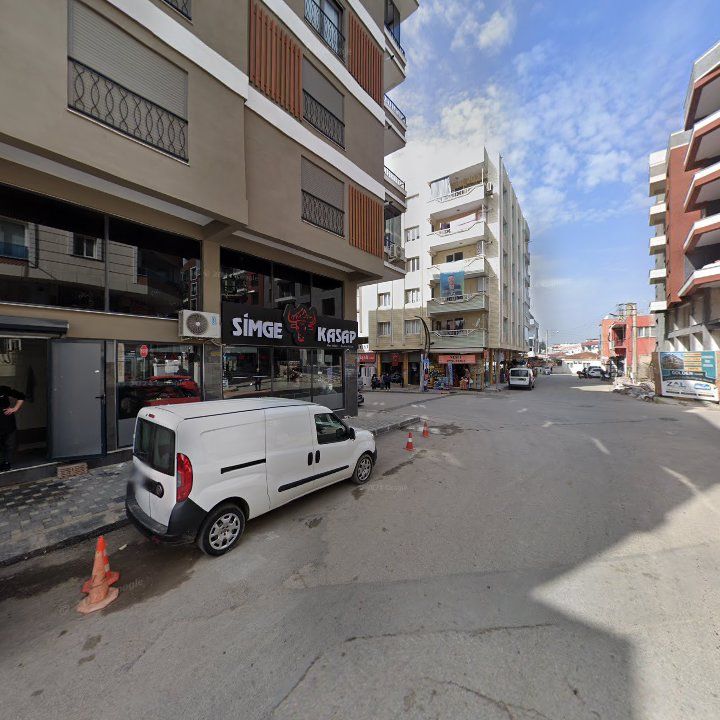 Fotoğraf 11