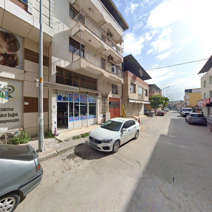 Fotoğraf 13