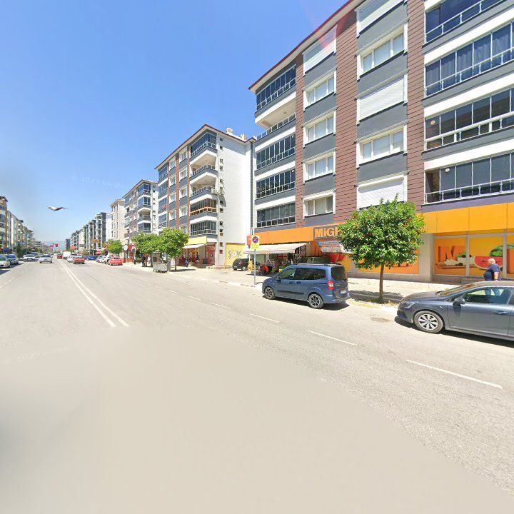 Fotoğraf 9