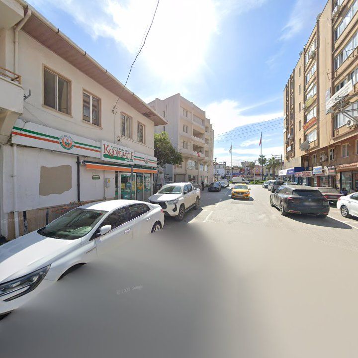 Fotoğraf 10