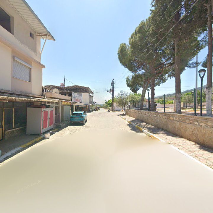 Fotoğraf 9