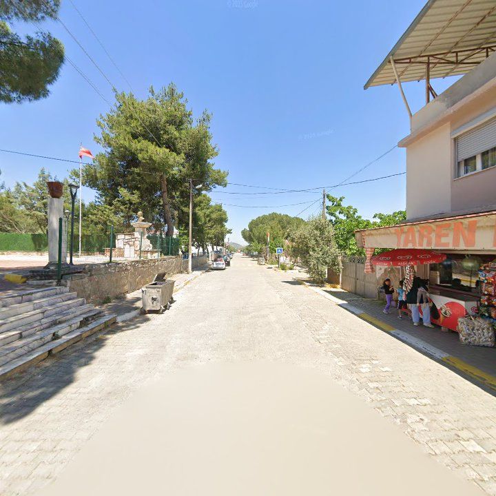 Fotoğraf 7