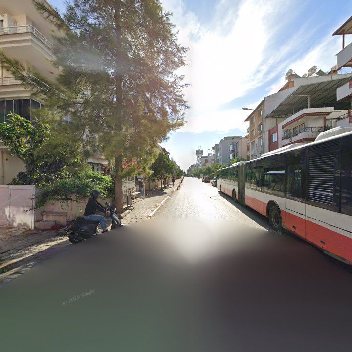 Fotoğraf 10