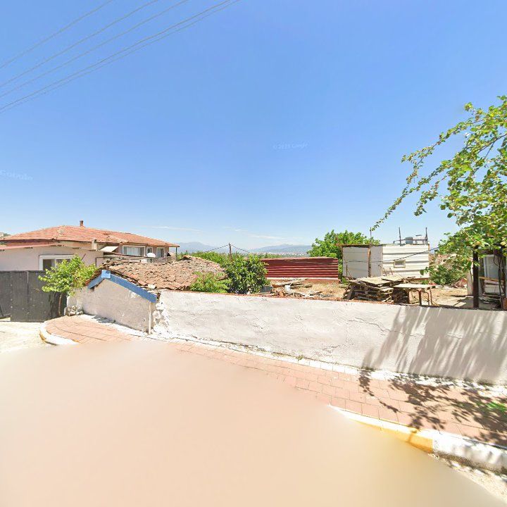 Fotoğraf 9