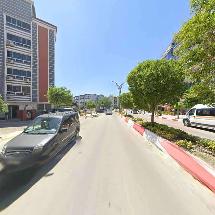 Fotoğraf 7