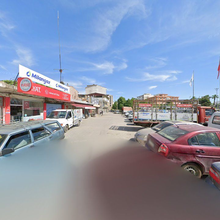 Fotoğraf 5