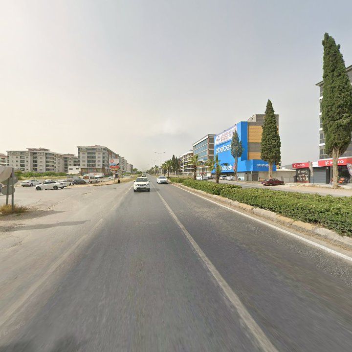 Fotoğraf 11