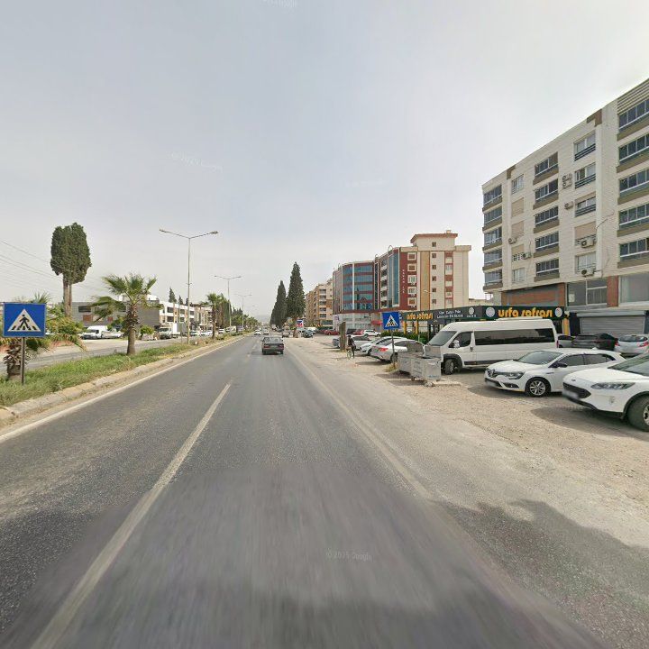 Fotoğraf 13