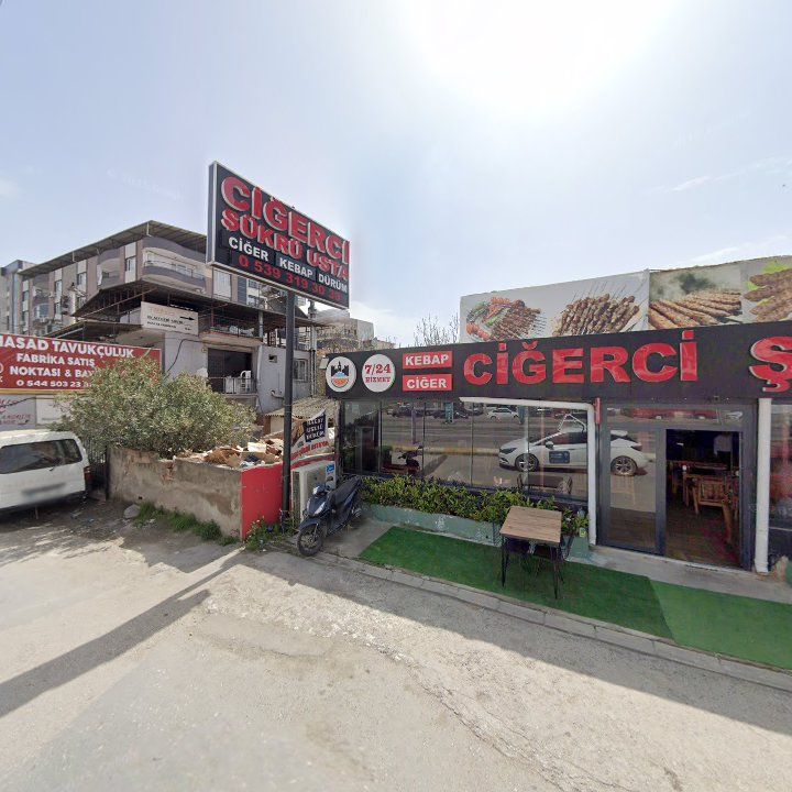 Fotoğraf 9