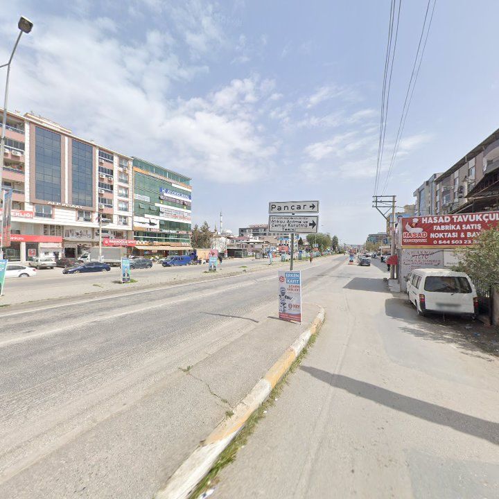 Fotoğraf 8