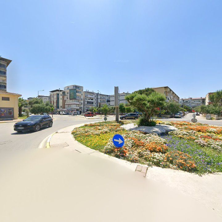 Fotoğraf 10