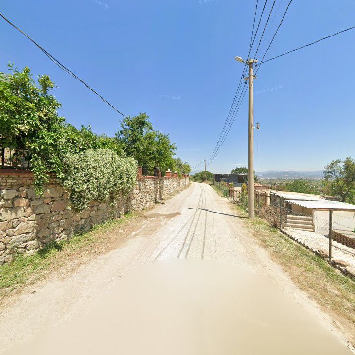 Fotoğraf 3