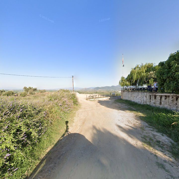 Fotoğraf 11