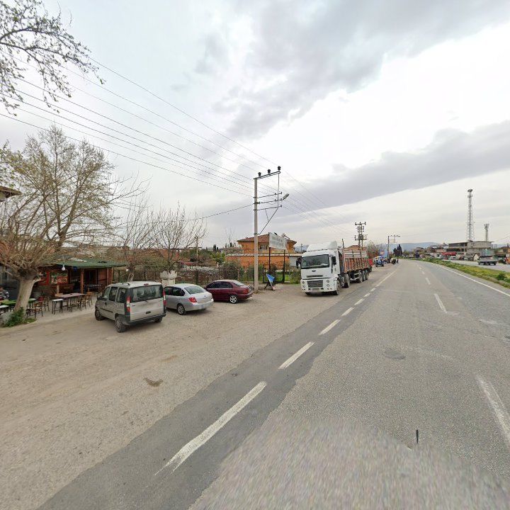 Fotoğraf 10