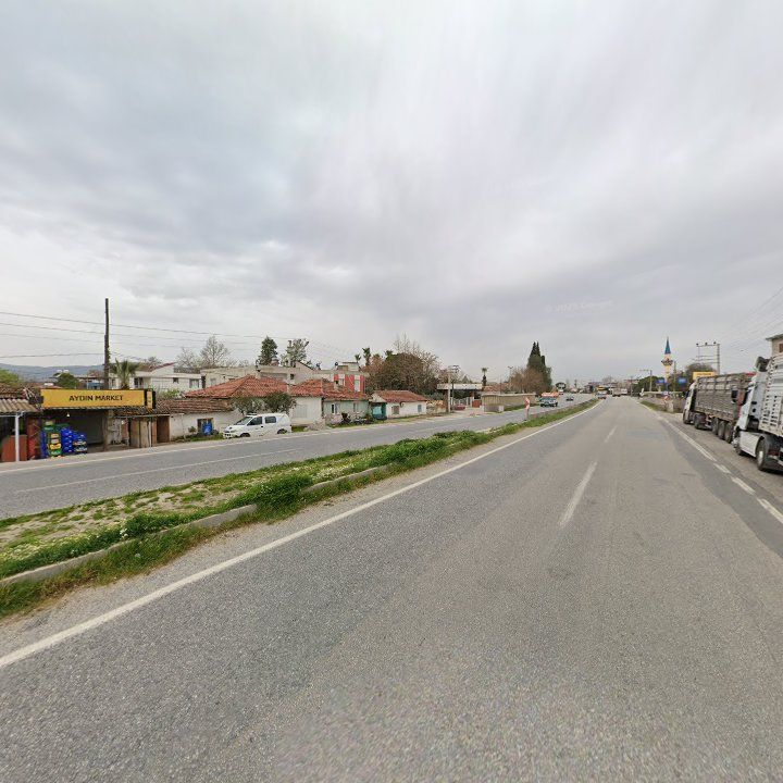 Fotoğraf 12