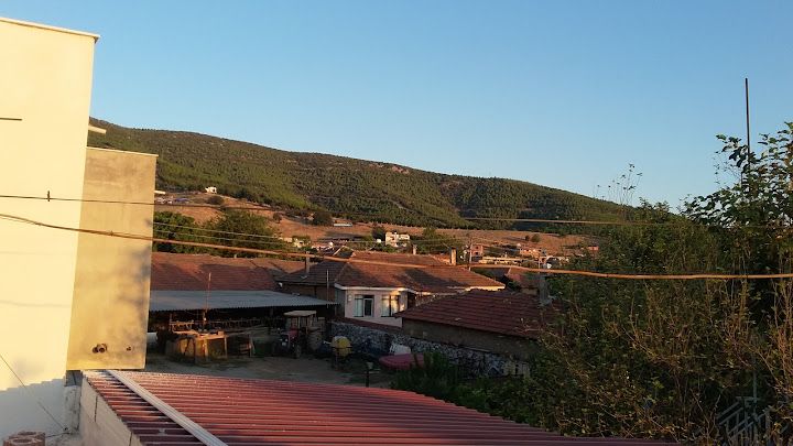 Durak kıraathanesi