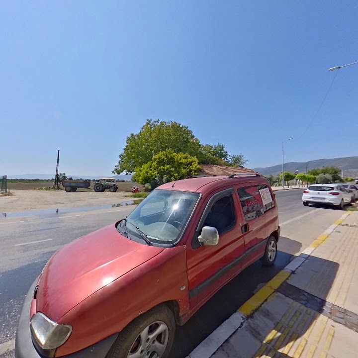 Fotoğraf 6