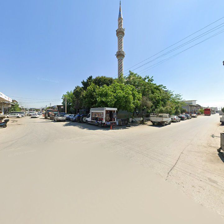 Fotoğraf 6