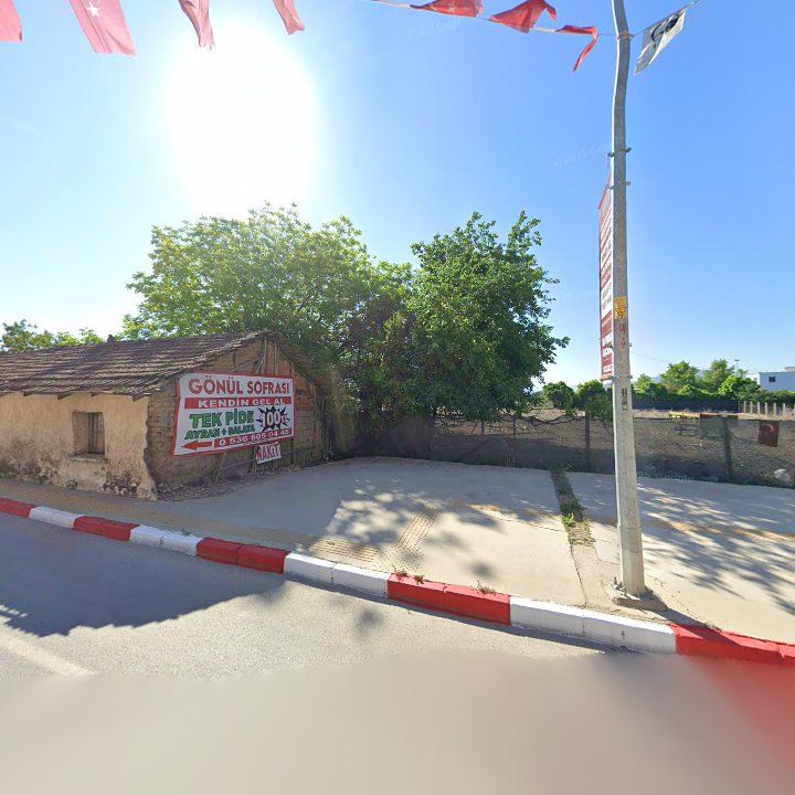 Fotoğraf 8