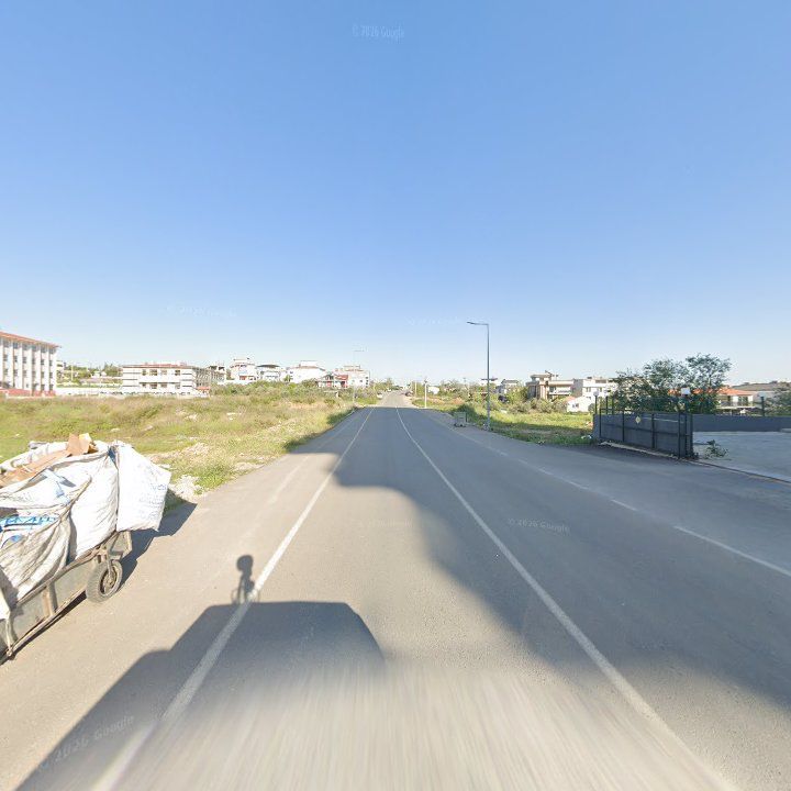 Fotoğraf 9