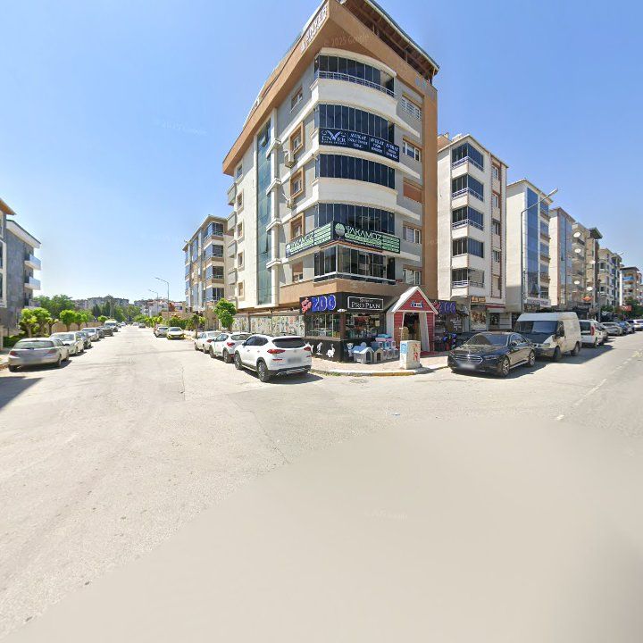 Fotoğraf 9
