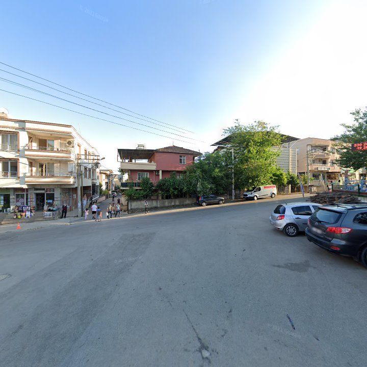 Fotoğraf 8