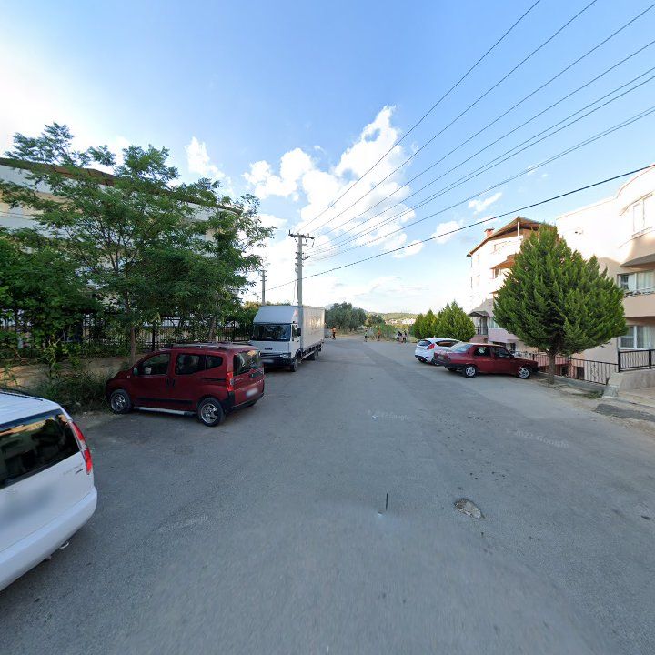Fotoğraf 6