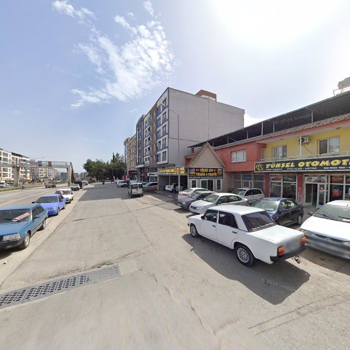 Fotoğraf 10