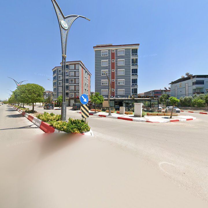 Fotoğraf 11