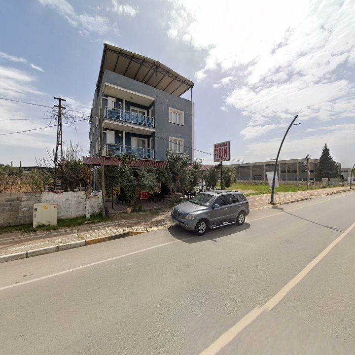 Fotoğraf 8