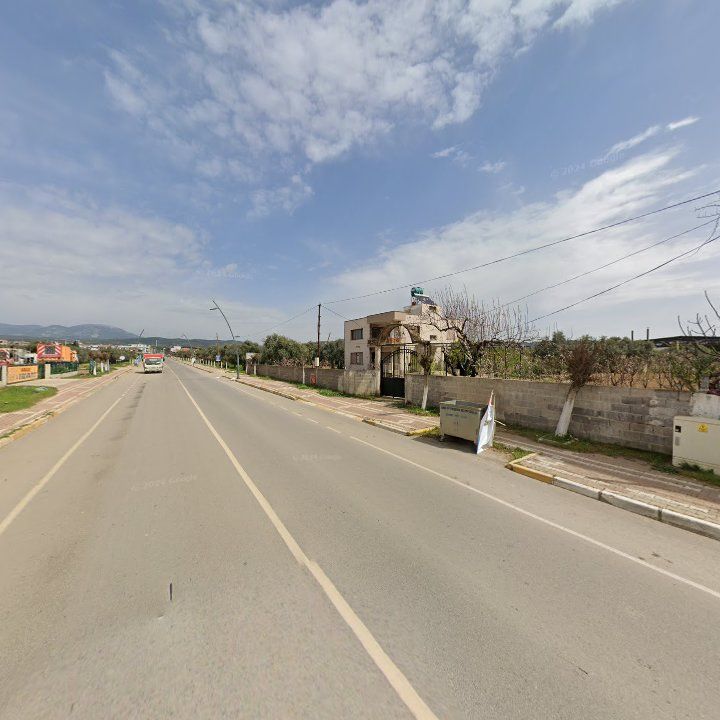Fotoğraf 11