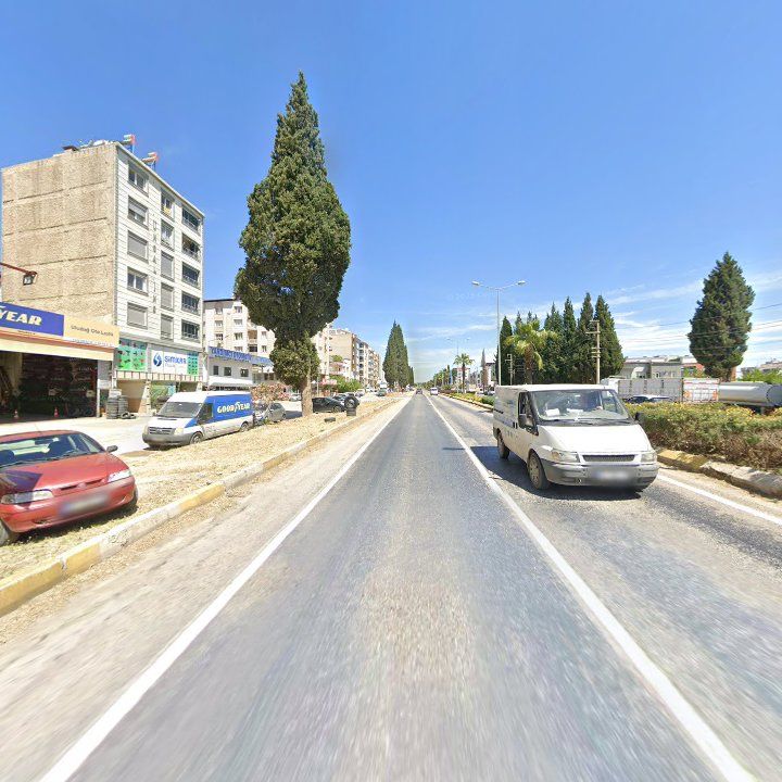 Fotoğraf 7