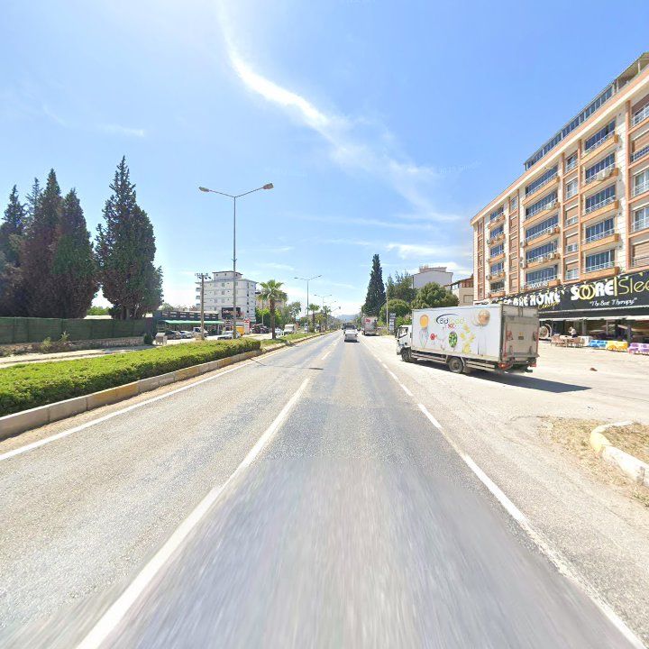 Fotoğraf 9