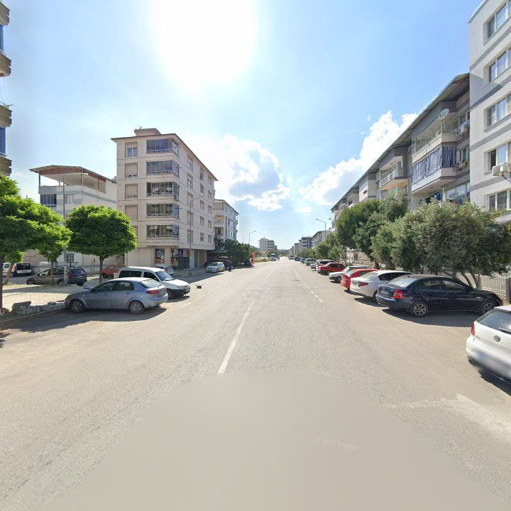 Fotoğraf 9