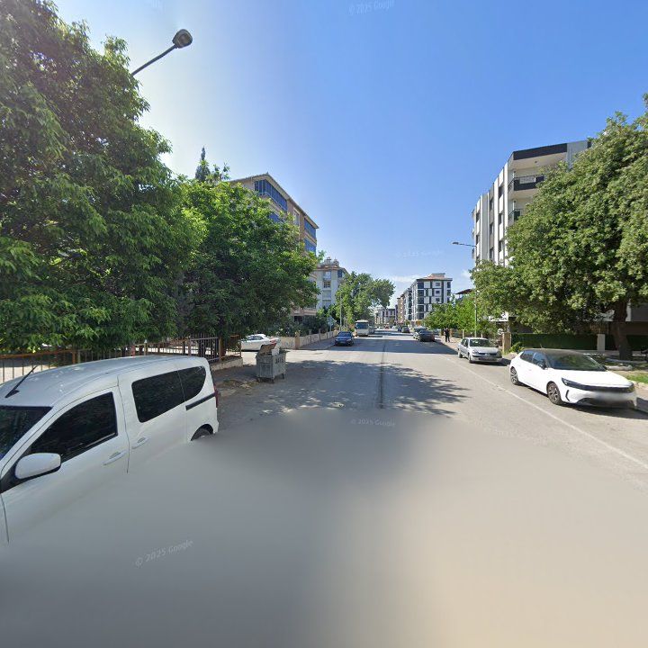 Fotoğraf 10