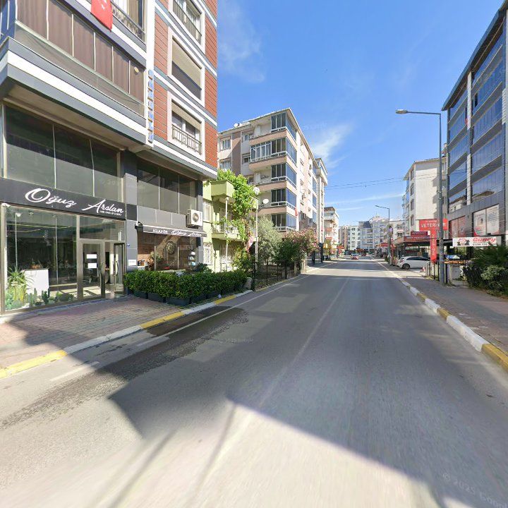 Fotoğraf 7