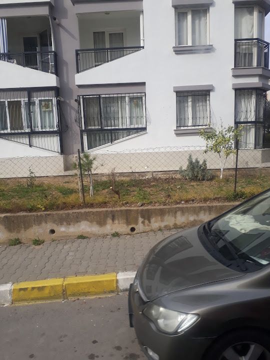 Merıç Kafe