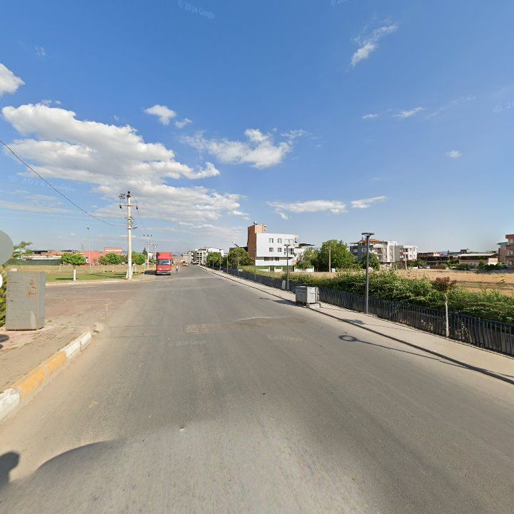 Fotoğraf 10