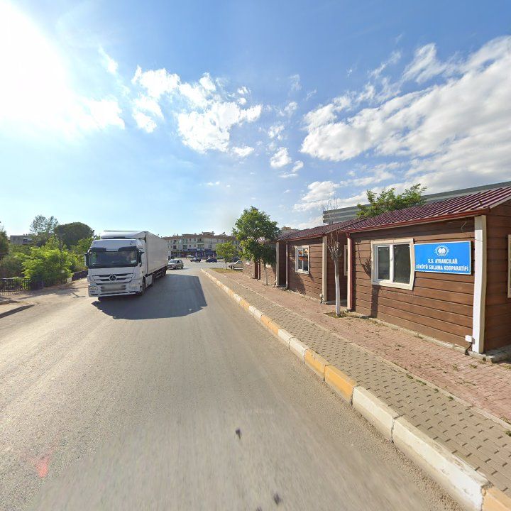 Fotoğraf 12