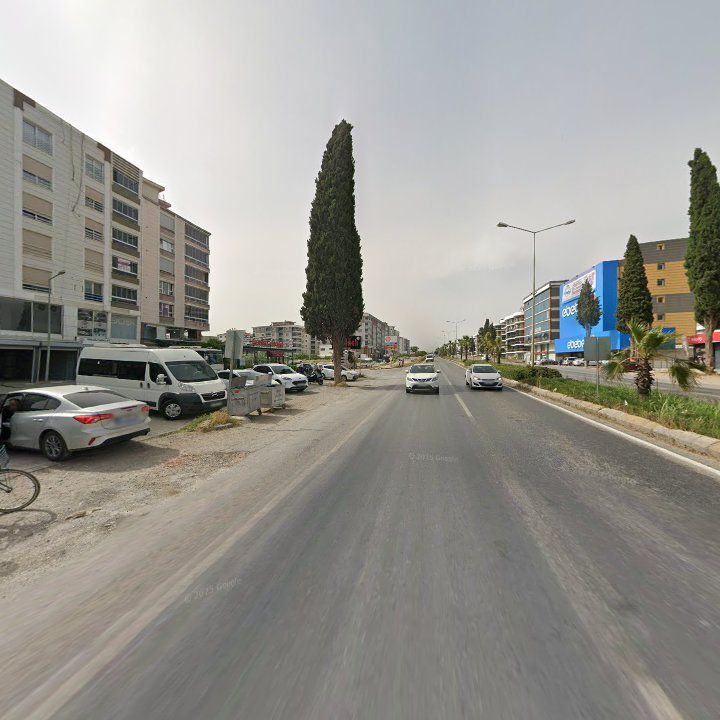 Fotoğraf 11