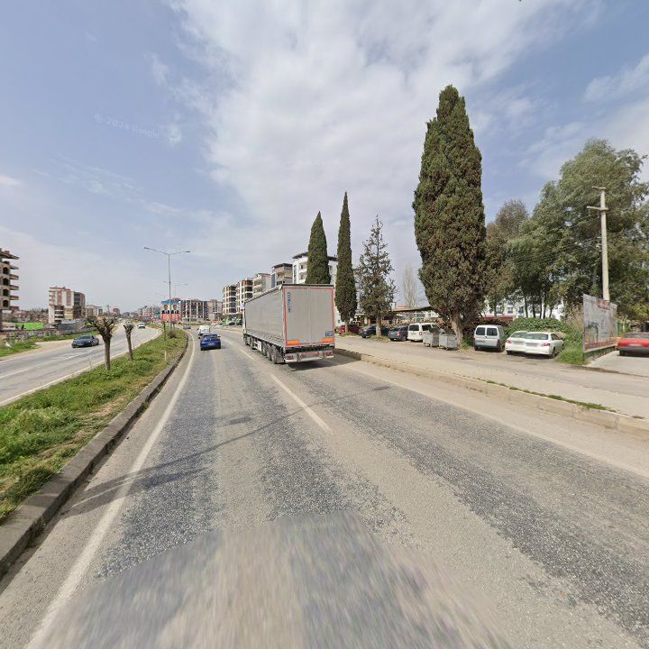 Fotoğraf 14