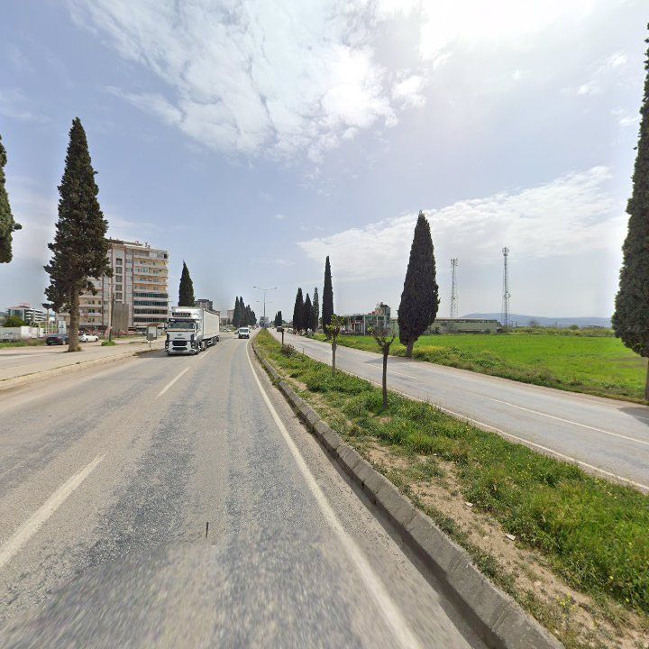 Fotoğraf 12