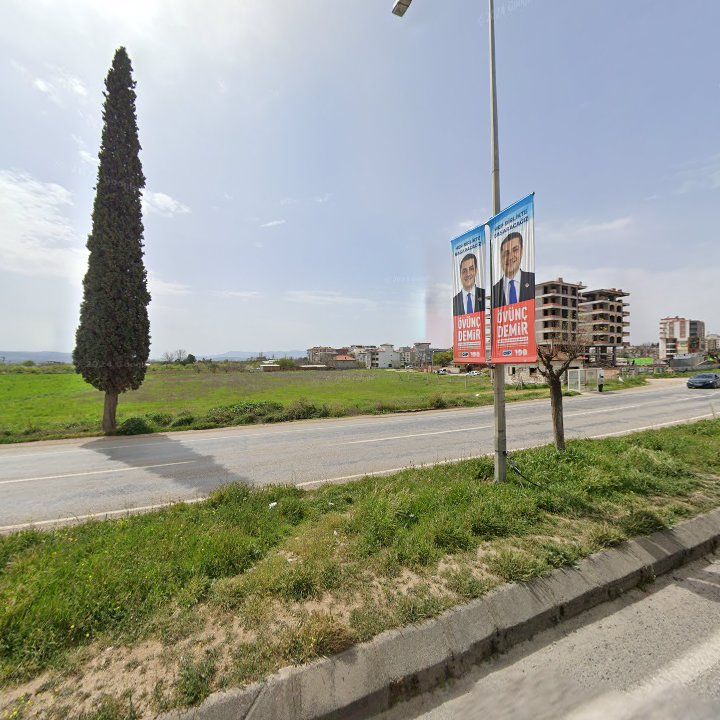 Fotoğraf 13
