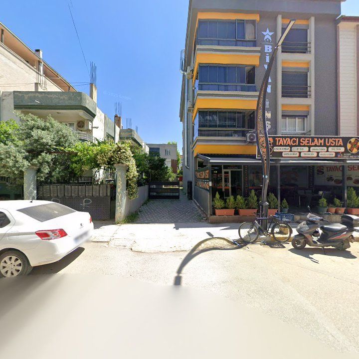 Fotoğraf 9