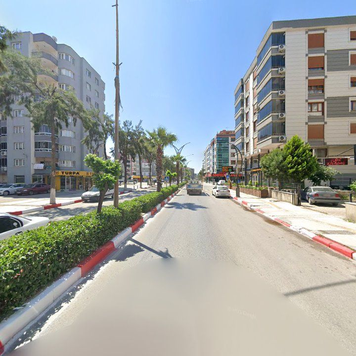 Fotoğraf 11