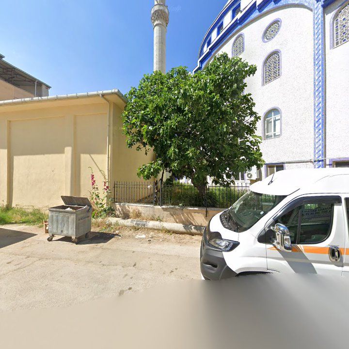 Fotoğraf 9