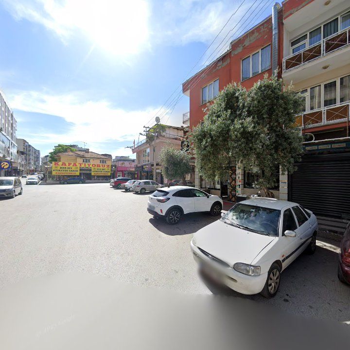 Fotoğraf 9