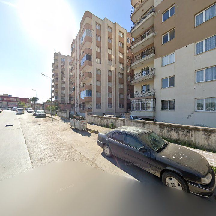 Fotoğraf 10
