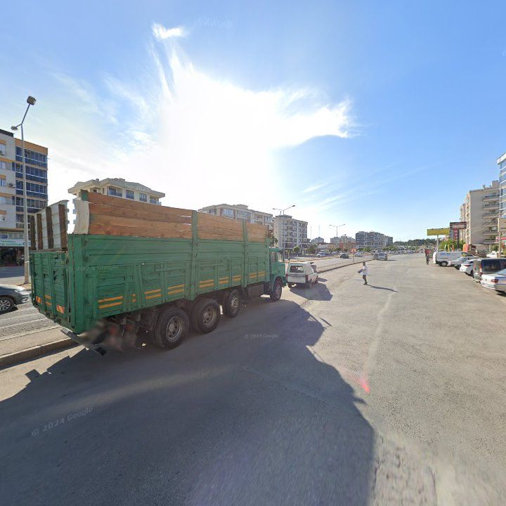 Fotoğraf 9