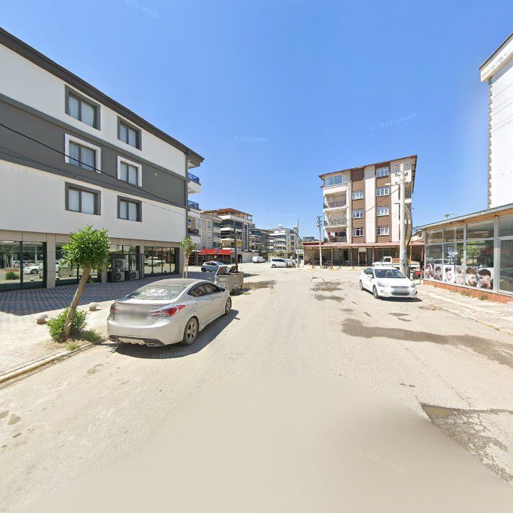 Fotoğraf 12